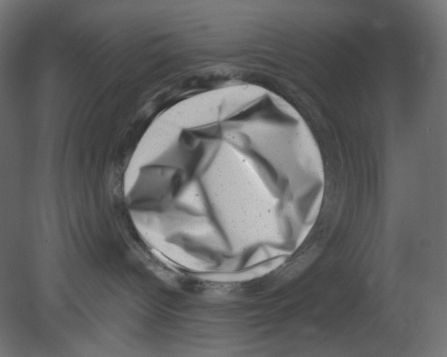 X0000080740096200701121948