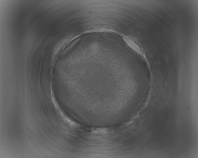 X0000080740097200701121947