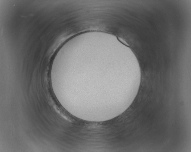 X0000080740098200701121947