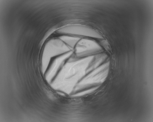 X0000080740099200701121947