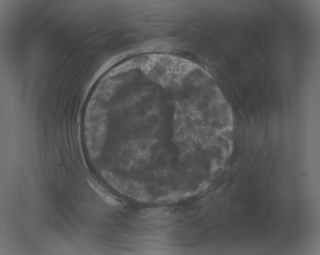 X0000080740100200701121947