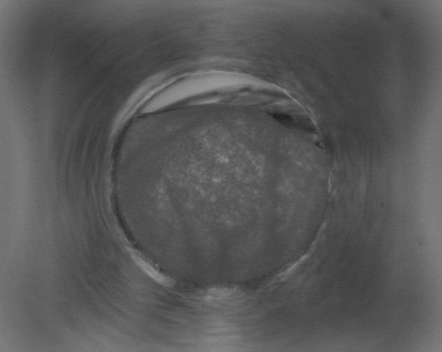 X0000080740101200701121947