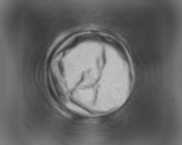 X0000080740102200701121947