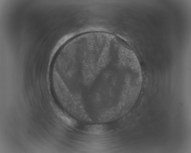 X0000080740104200701121947