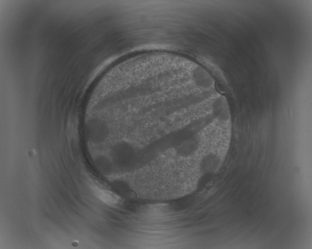 X0000080740108200701121947