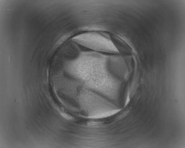 X0000080740109200701121947