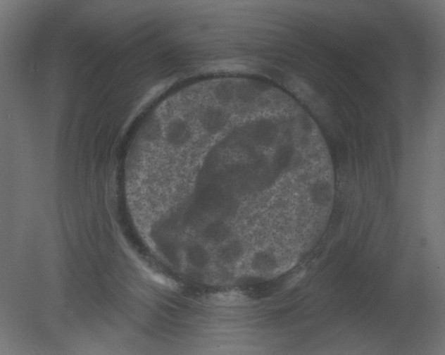 X0000080740112200701121947