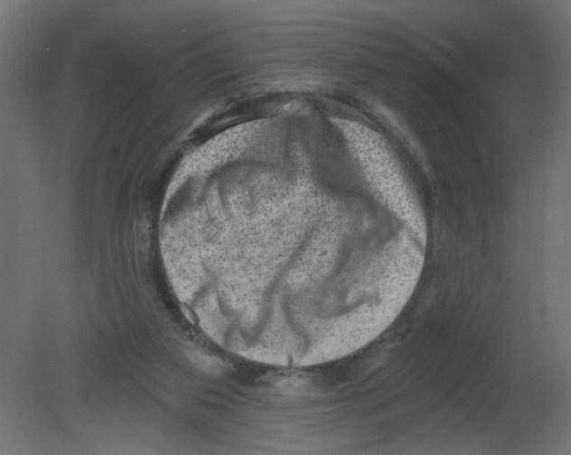 X0000080740113200701121947