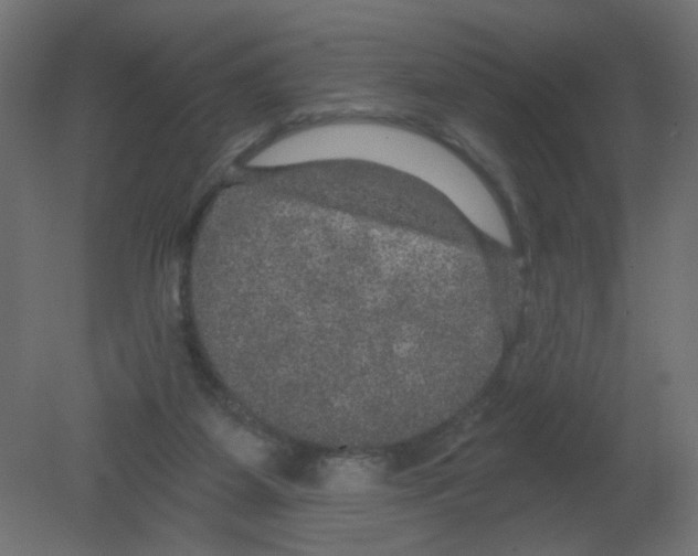 X0000080740115200701121947