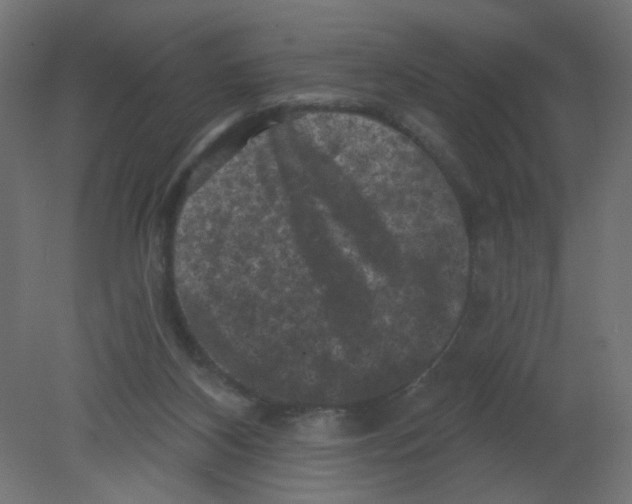 X0000080740116200701121947