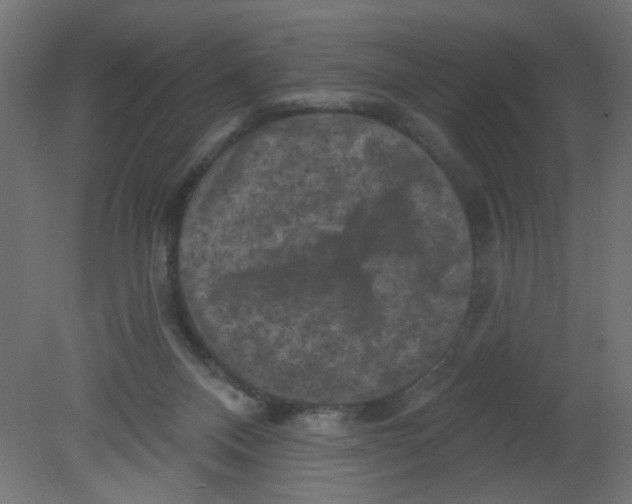 X0000080740120200701121947