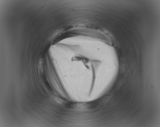 X0000080740121200701121947