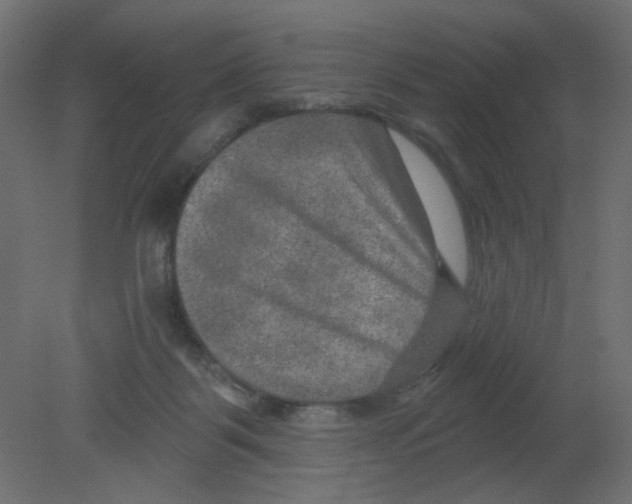 X0000080740123200701121947