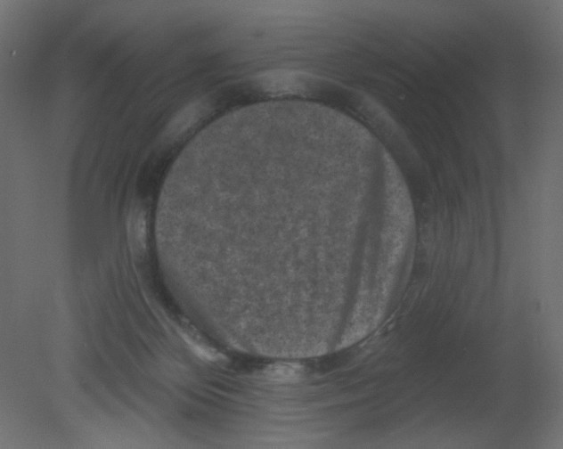 X0000080740124200701121947