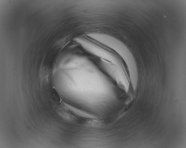 X0000080740125200701121947