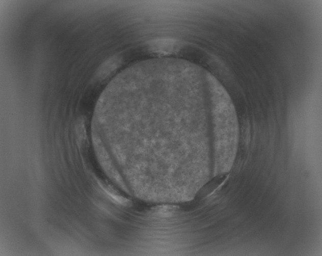 X0000080740128200701121947