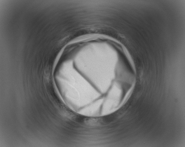 X0000080740129200701121947