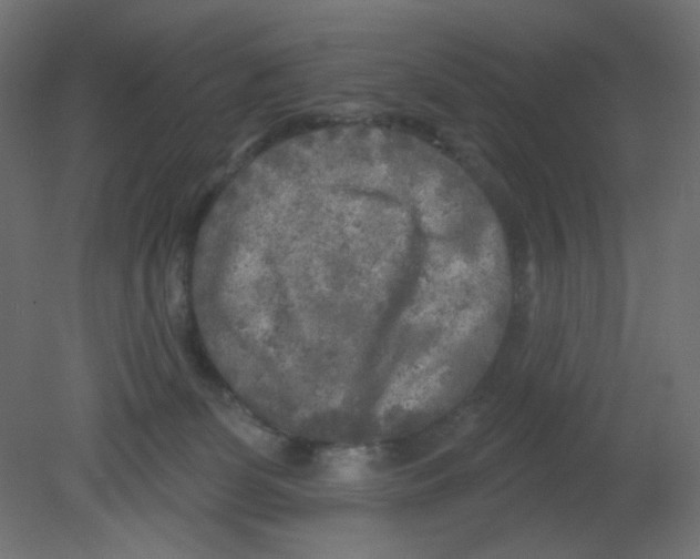 X0000080740131200701121947