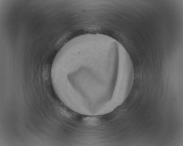 X0000080740133200701121947