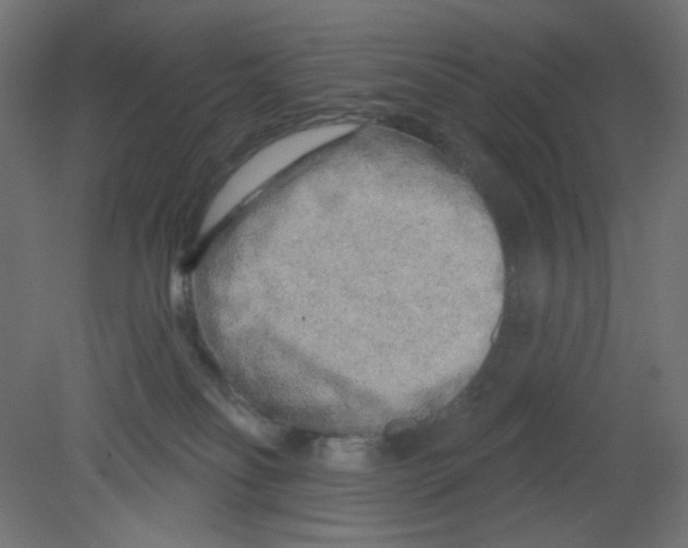 X0000080740134200701121947