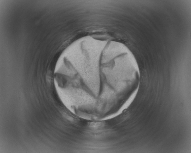 X0000080740135200701121947