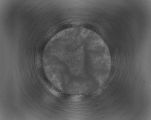 X0000080740136200701121947