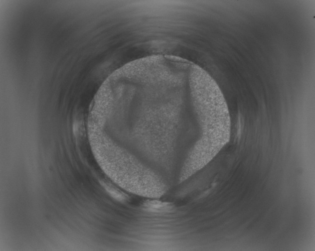 X0000080740137200701121947