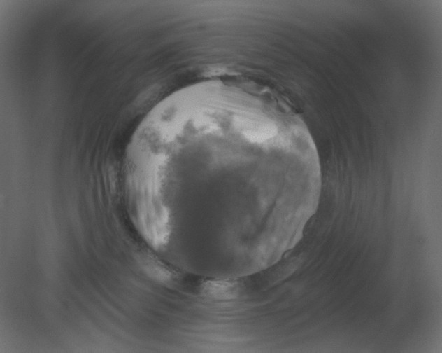 X0000080740139200701121947