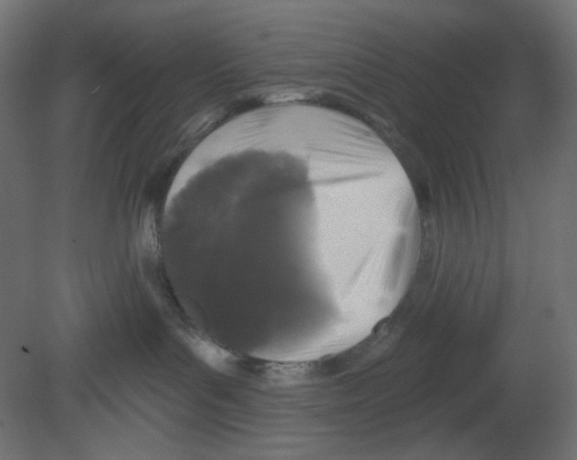 X0000080740143200701121947