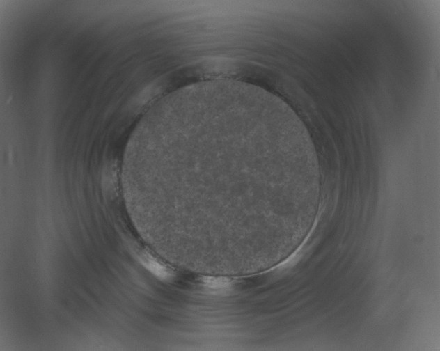 X0000080740144200701121947