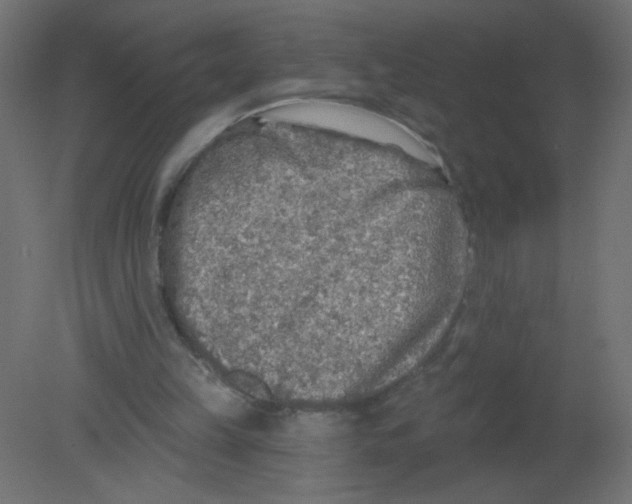 X0000080740149200701121946