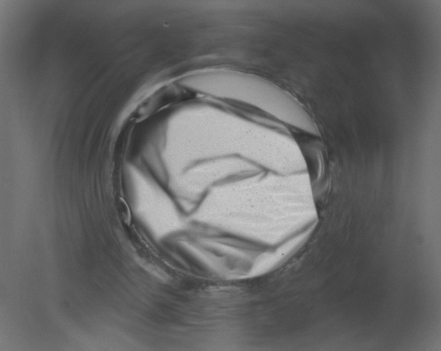 X0000080740150200701121946