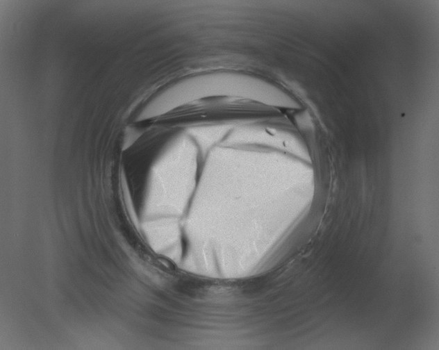 X0000080740154200701121946