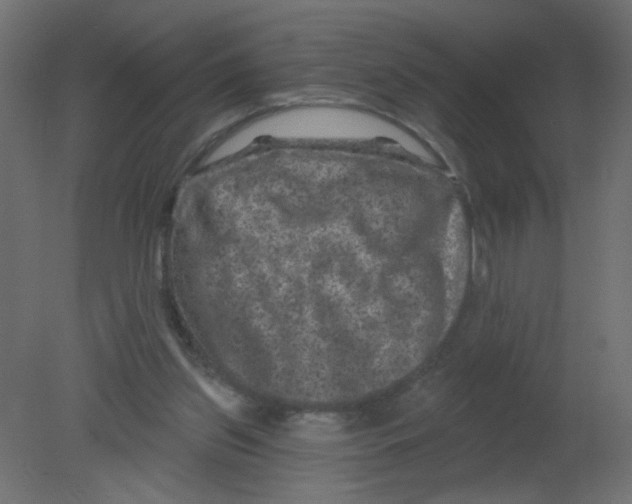 X0000080740157200701121946