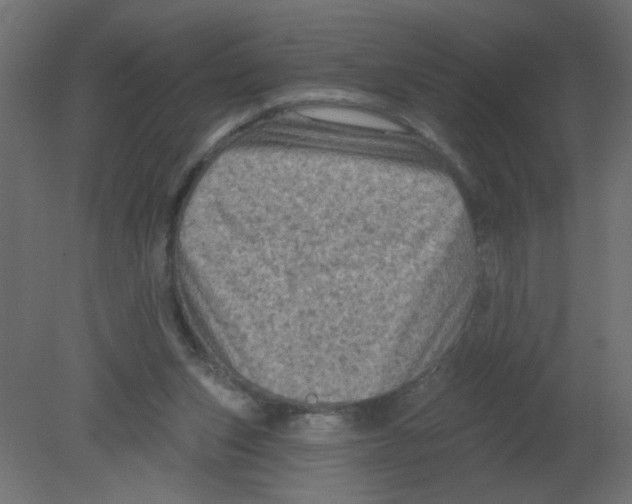 X0000080740159200701121946