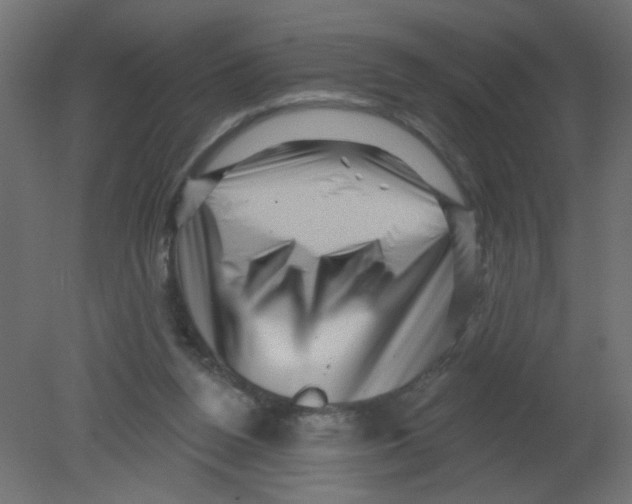 X0000080740160200701121946