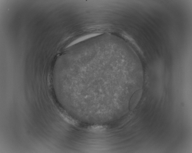 X0000080740161200701121946