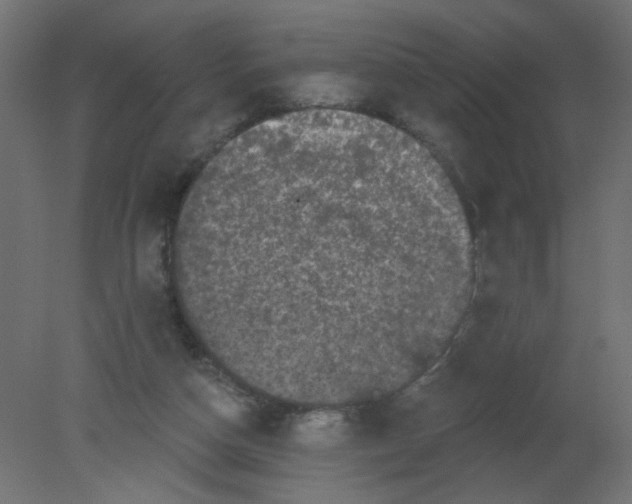 X0000080740162200701121946