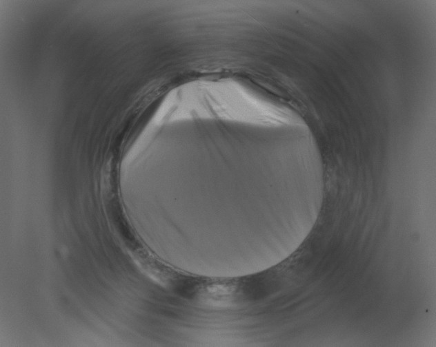 X0000080740163200701121946