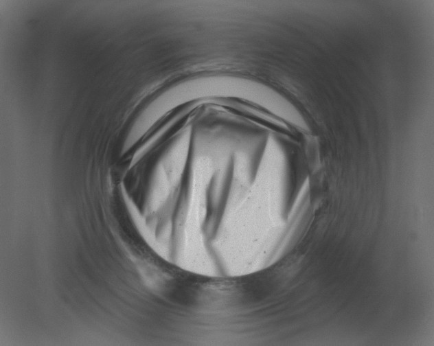 X0000080740164200701121946