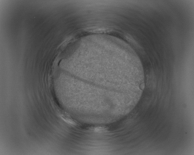 X0000080740165200701121946