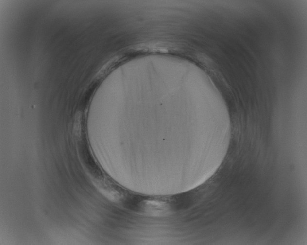 X0000080740167200701121946