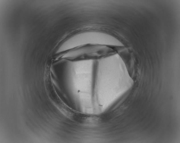 X0000080740168200701121946