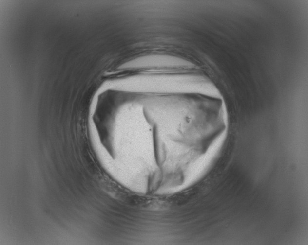 X0000080740169200701121946