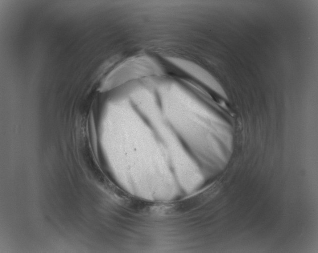 X0000080740172200701121946