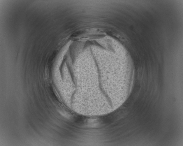 X0000080740173200701121946