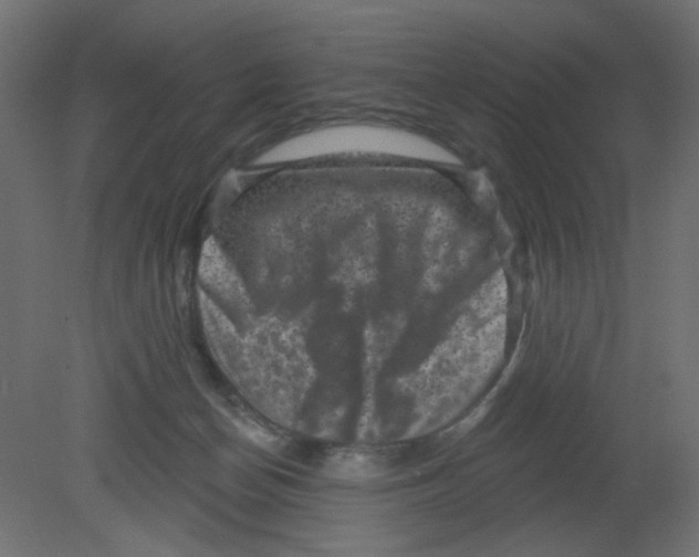 X0000080740174200701121946