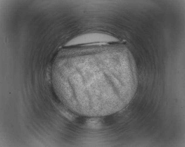 X0000080740175200701121946