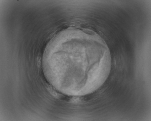 X0000080740177200701121946