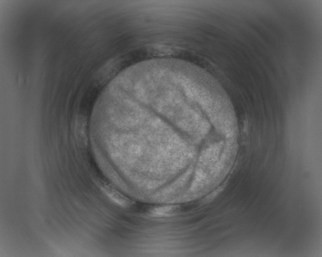 X0000080740178200701121946